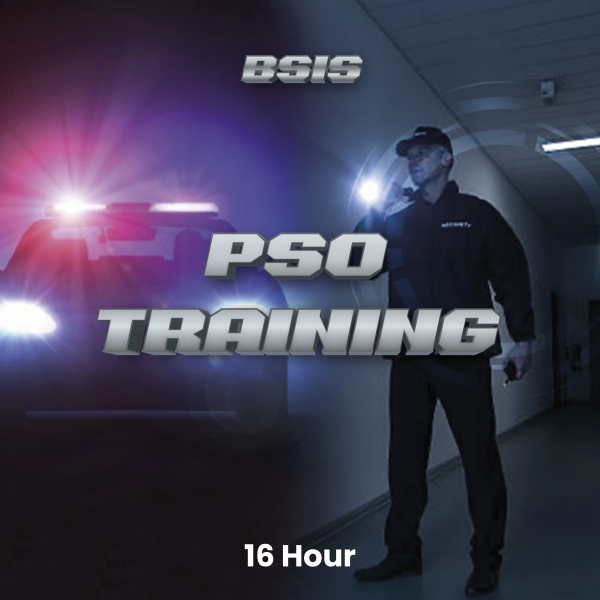 16-Hour BSIS PSO Requirement